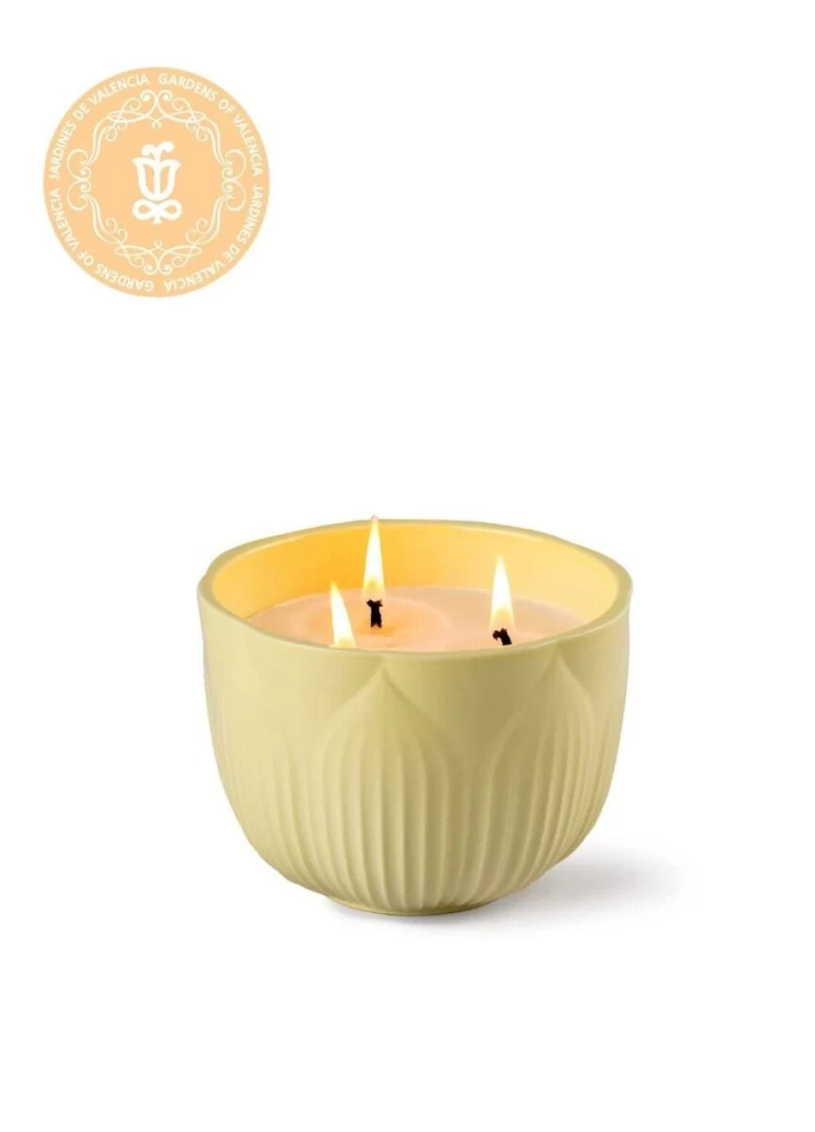Lladró Aroma Jardines De Valencia Porcelain Fragrance Diffuser Set