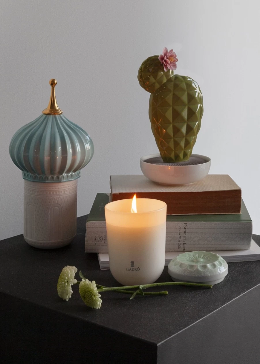 Lladró Opuntia Cactus Essential Oil Diffuser with Night Approaches Scent for Home Aromatherapy