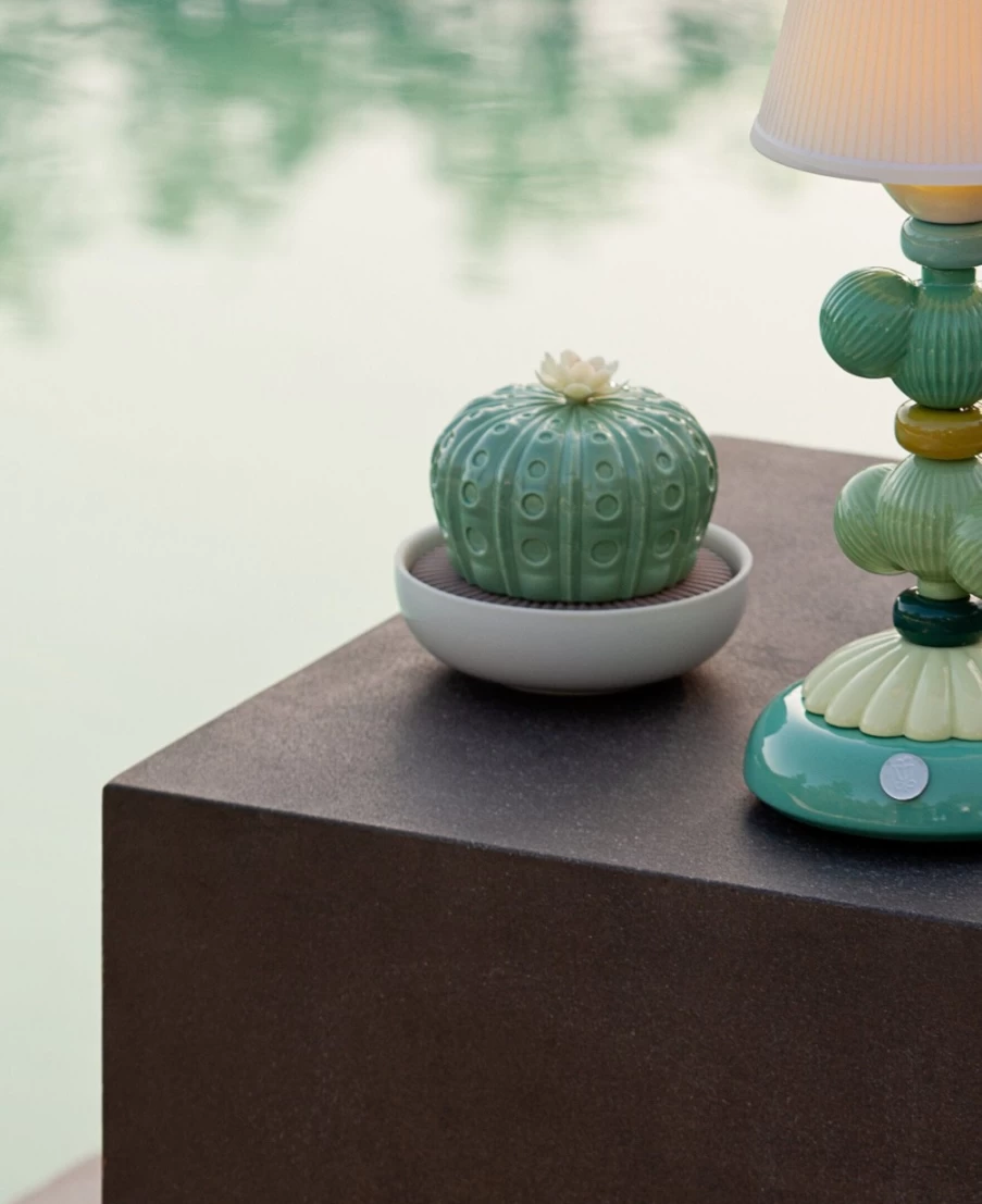 Lladró Astrophytum Cactus Aroma Diffuser with Gardens of Valencia Fragrance